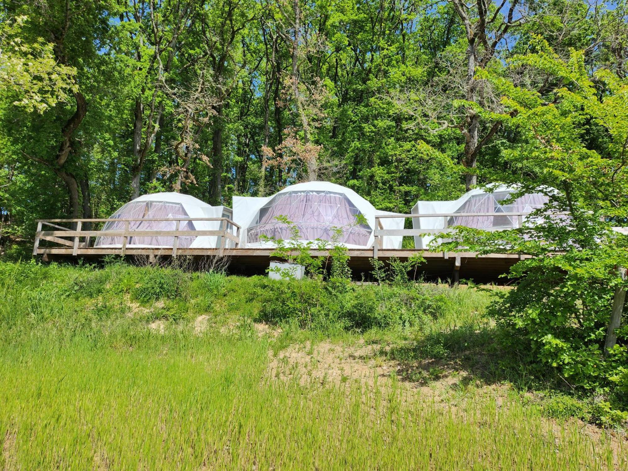 Domaine de Massoulac Molières Extérieur photo
