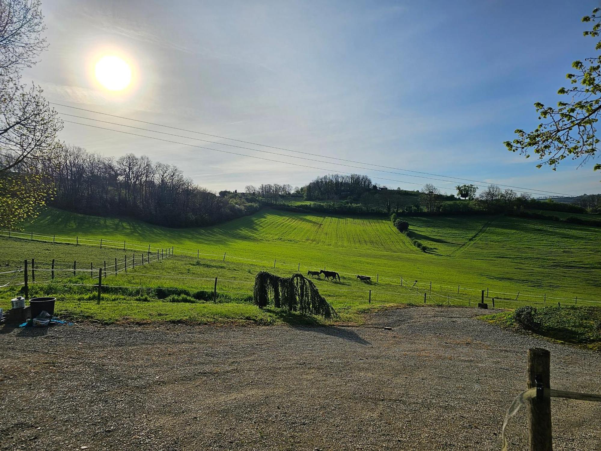 Domaine de Massoulac Molières Extérieur photo
