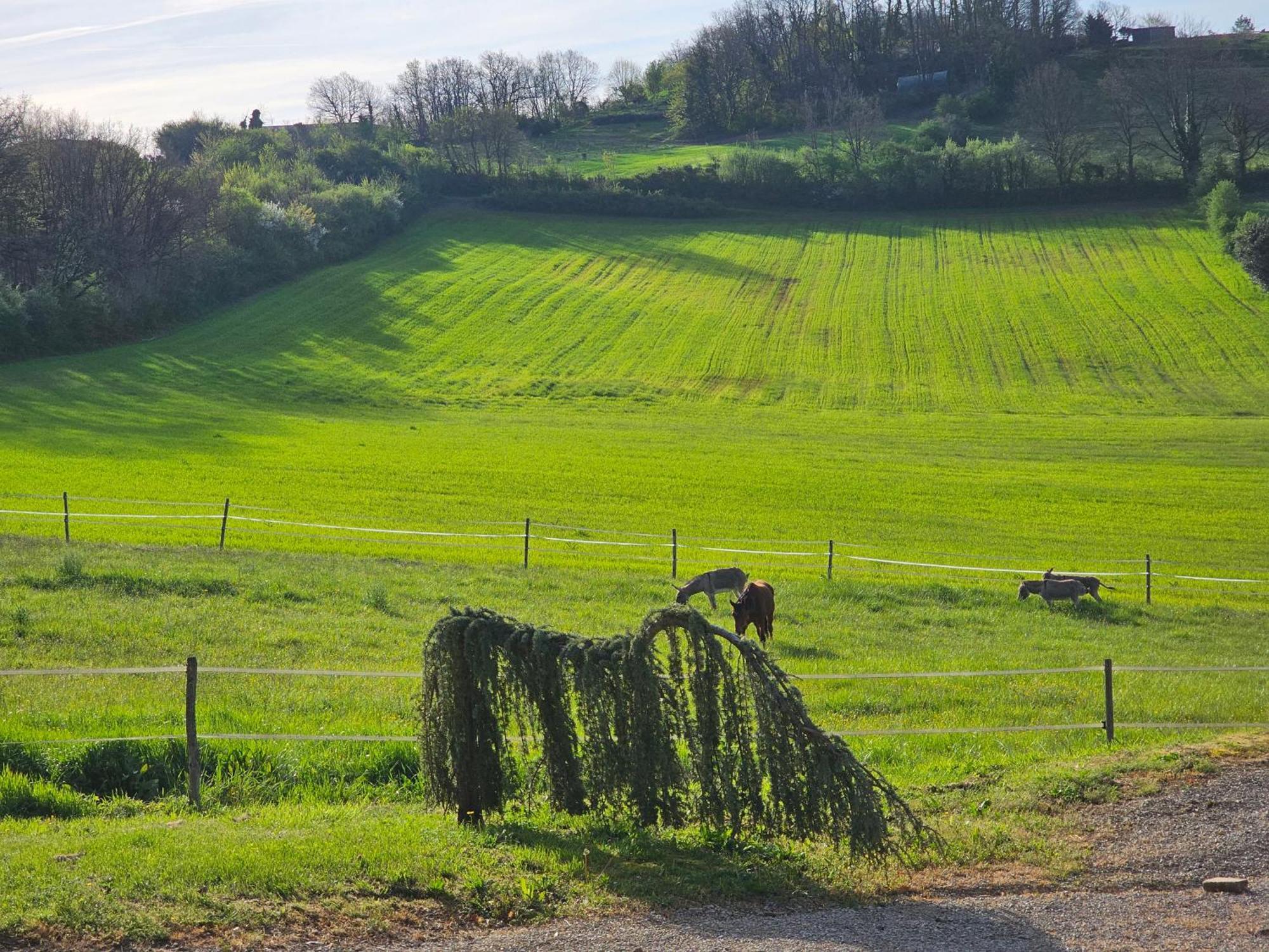 Domaine de Massoulac Molières Extérieur photo