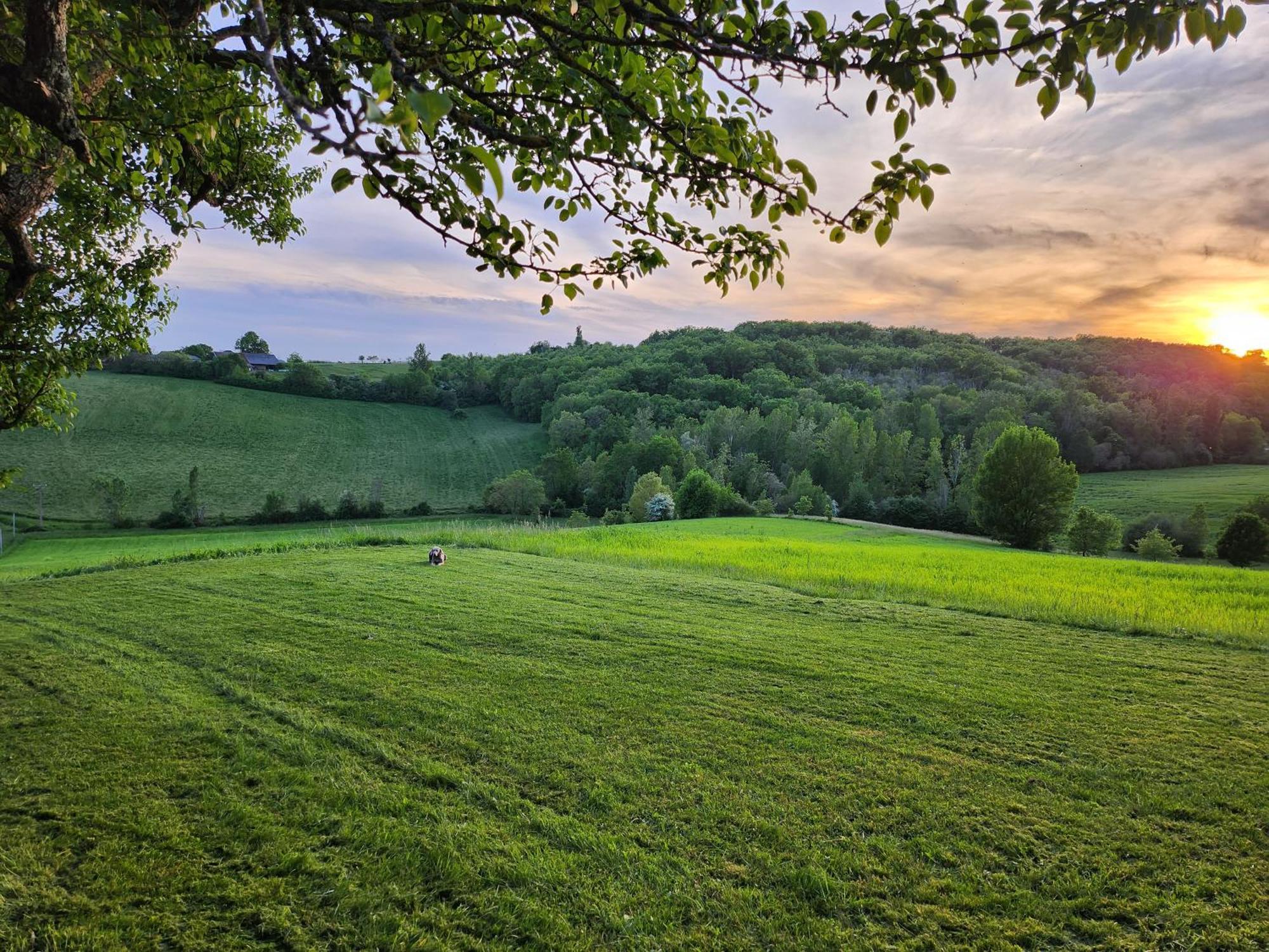 Domaine de Massoulac Molières Extérieur photo